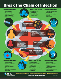 Break the chain of infection infographic