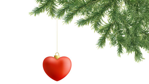 a christmas ornament hanging from a tree branch